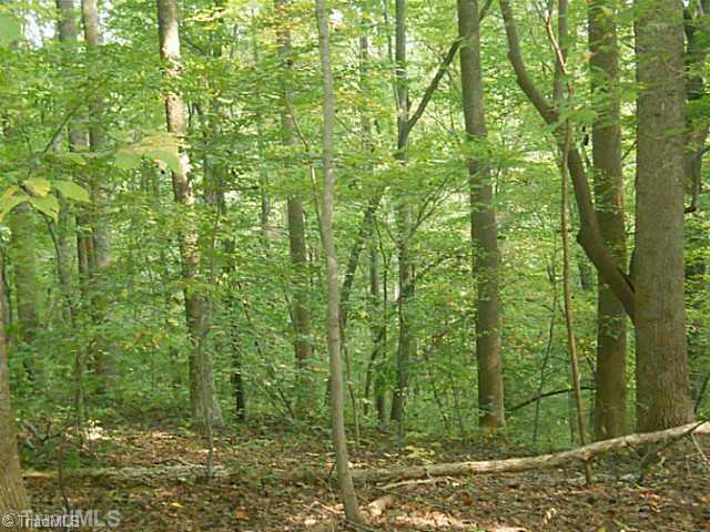 0 Gardner Road Reidsville, NC 27320 - Photo 3 of 7 Other. Build overlooking pure nature