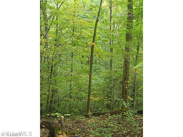0 Gardner Road Reidsville, NC 27320 - Photo 4 of 7 Other. Great place to build your dream home