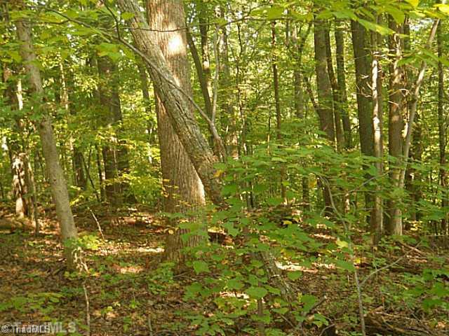 0 Gardner Road Reidsville, NC 27320 - Photo 5 of 7 Other. Loads of hardwood
