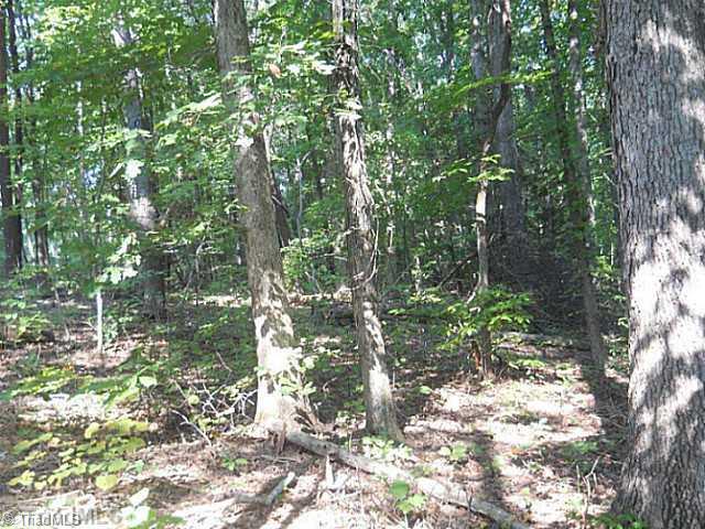 0 Gardner Road Reidsville, NC 27320 - Photo 7 of 7 Other. Totally wooded