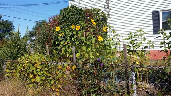 118 Marshall Road Lowell, MA 01852 - Photo 4 of 10 Gallery Image 4