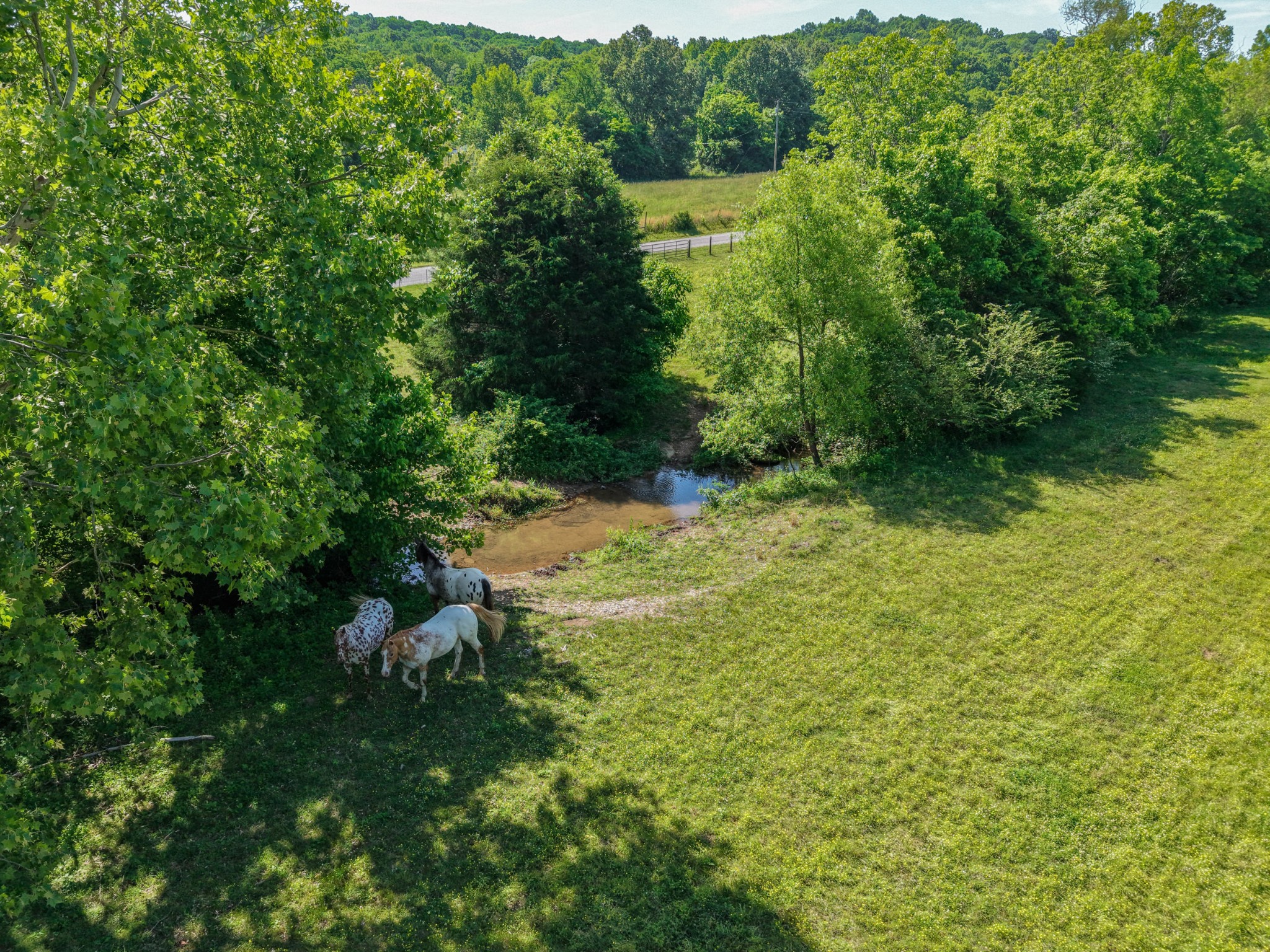 600 Bates Hollow Road Prospect, TN 38477 - Photo 65 of 73
