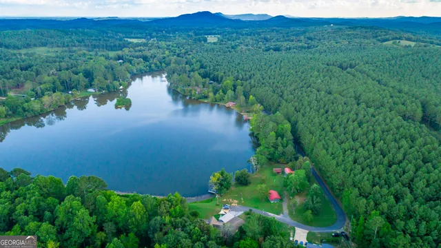 a view of a lake with a city