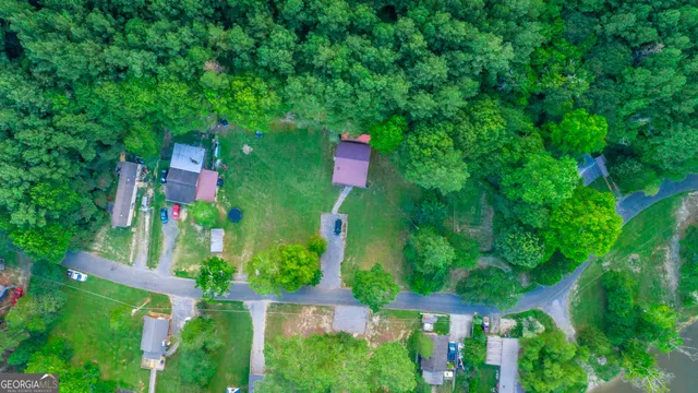 a view of a garden with a flower garden