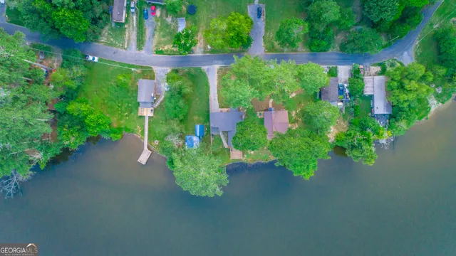 a view of a flower in a garden