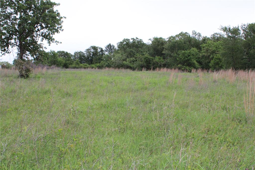 1080 Gonzollas Road Springtown, TX 76082 - Photo 1 of 14