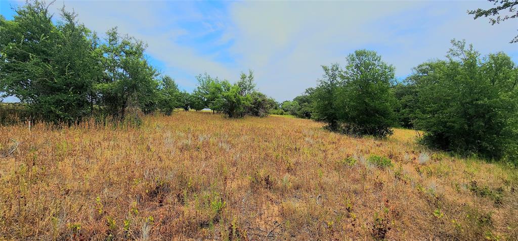 1080 Gonzollas Road Springtown, TX 76082 - Photo 12 of 14 a view of a lake view
