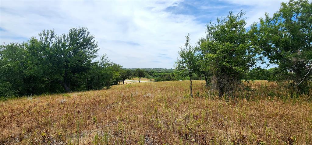 1080 Gonzollas Road Springtown, TX 76082 - Photo 13 of 14 a view of a yard with a tree