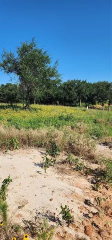 $119,000 | 1080 Gonzollas Road, Springtown, TX 76082