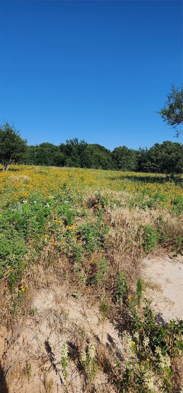 1080 Gonzollas Road Springtown, TX 76082 - Photo 18 of 18