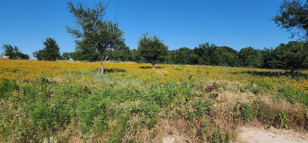 1080 Gonzollas Road Springtown, TX 76082 - Photo 2 of 14 a view of an outdoor space and a yard