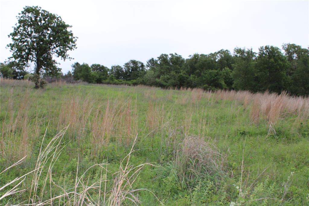 1080 Gonzollas Road Springtown, TX 76082 - Photo 3 of 14 a view of a lake with green field