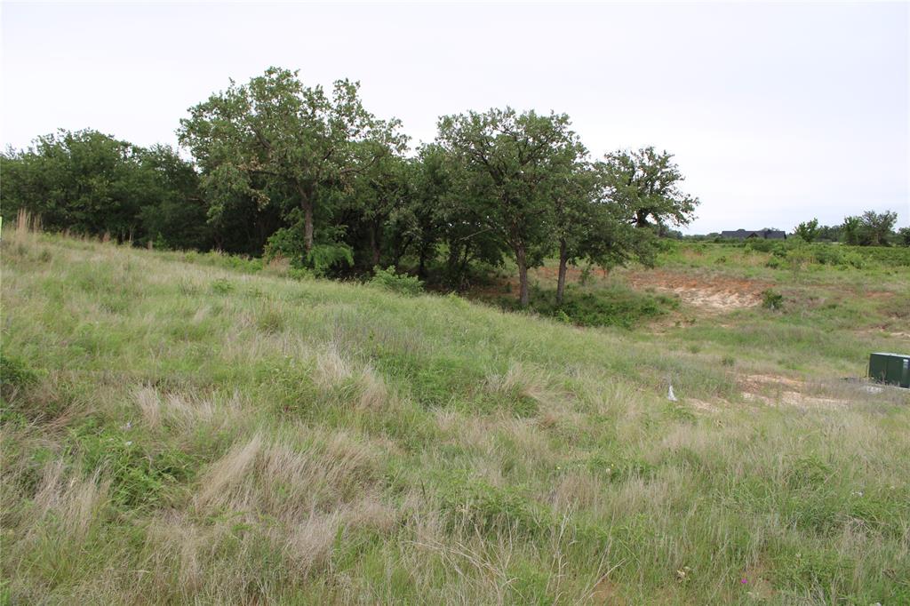 1080 Gonzollas Road Springtown, TX 76082 - Photo 5 of 14 a view of a lush green space