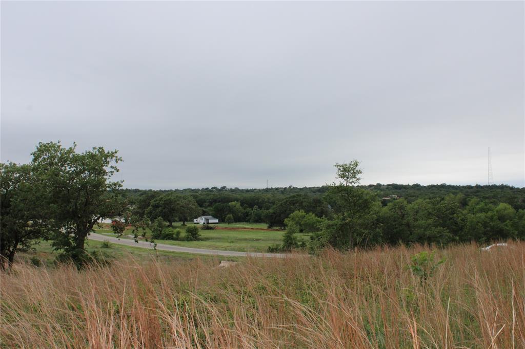 1080 Gonzollas Road Springtown, TX 76082 - Photo 6 of 14 a view of a lake with houses in background