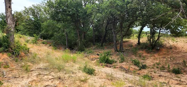 $119,000 | 1080 Gonzollas Road, Springtown, TX 76082
