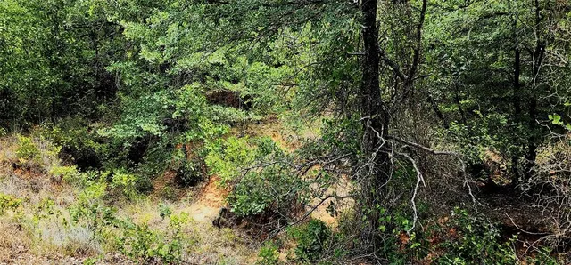 $119,000 | 1080 Gonzollas Road, Springtown, TX 76082