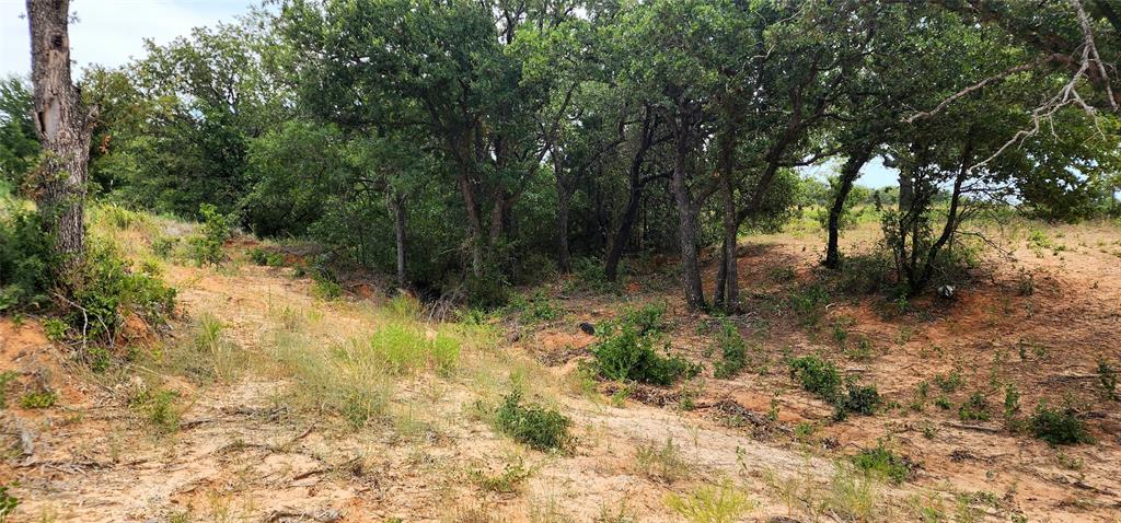 1080 Gonzollas Road Springtown, TX 76082 - Photo 10 of 14 a view of a yard with a tree