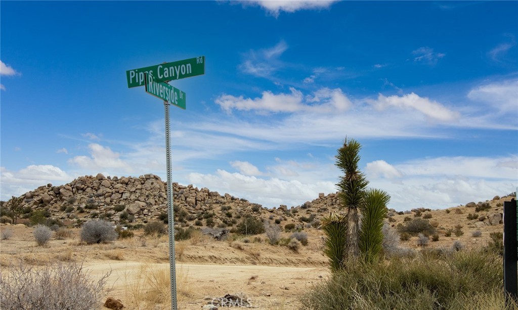 52500 Riverside Drive Pioneertown, CA 92268 - Photo 23 of 23 a view of a yard