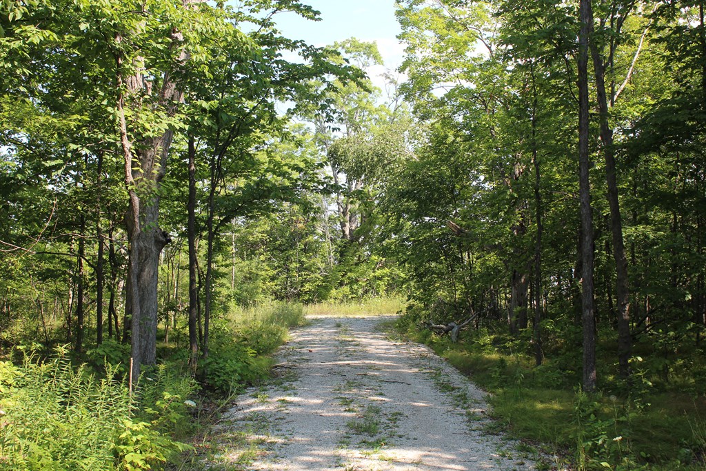 Lot A2 Humbug Road Ellison Bay, WI 54210 - Photo 4 of 10