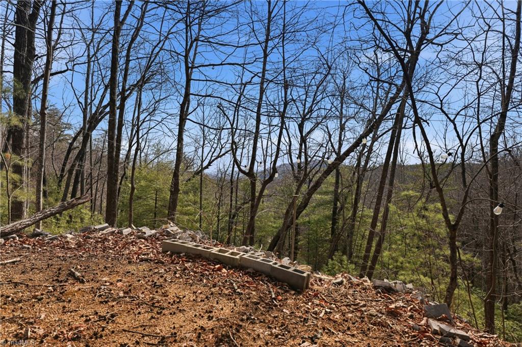 840 Summit Ridge Road Purlear, NC 28665 - Photo 21 of 26