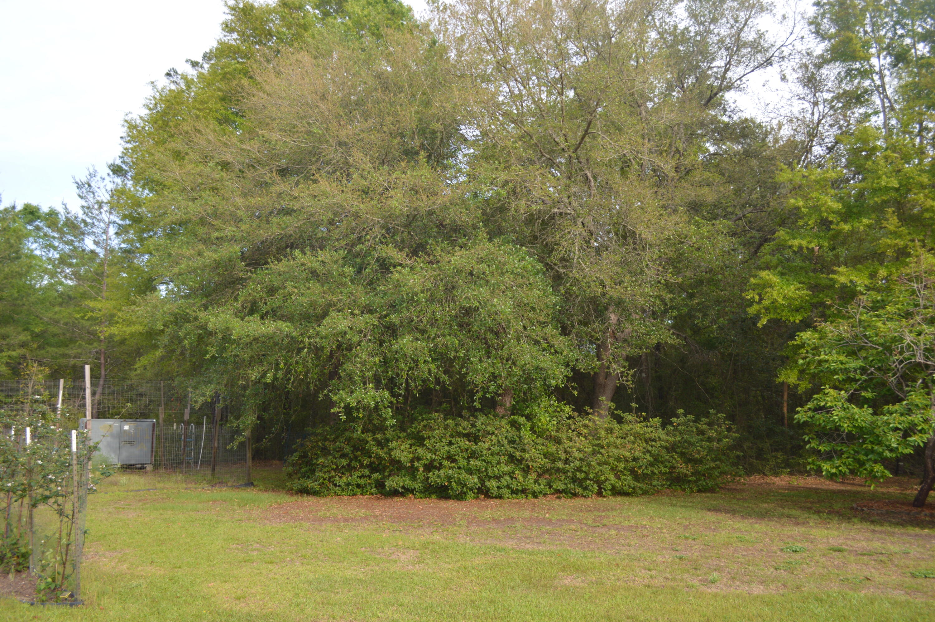 3939 Painter Branch Road Crestview, FL 32539 - Photo 24 of 35 a view of a yard with large trees