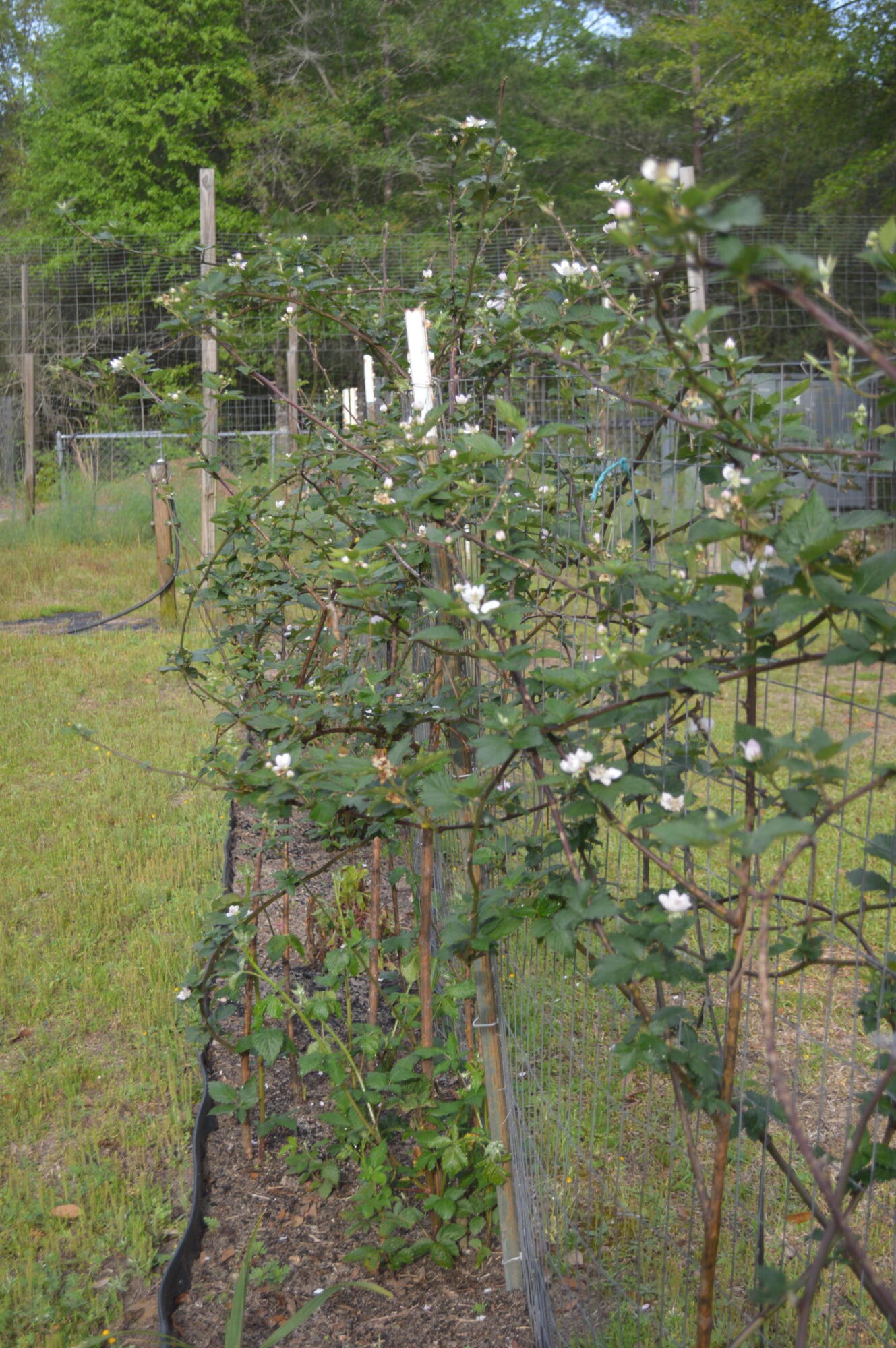 3939 Painter Branch Road Crestview, FL 32539 - Photo 26 of 35 a map view of location