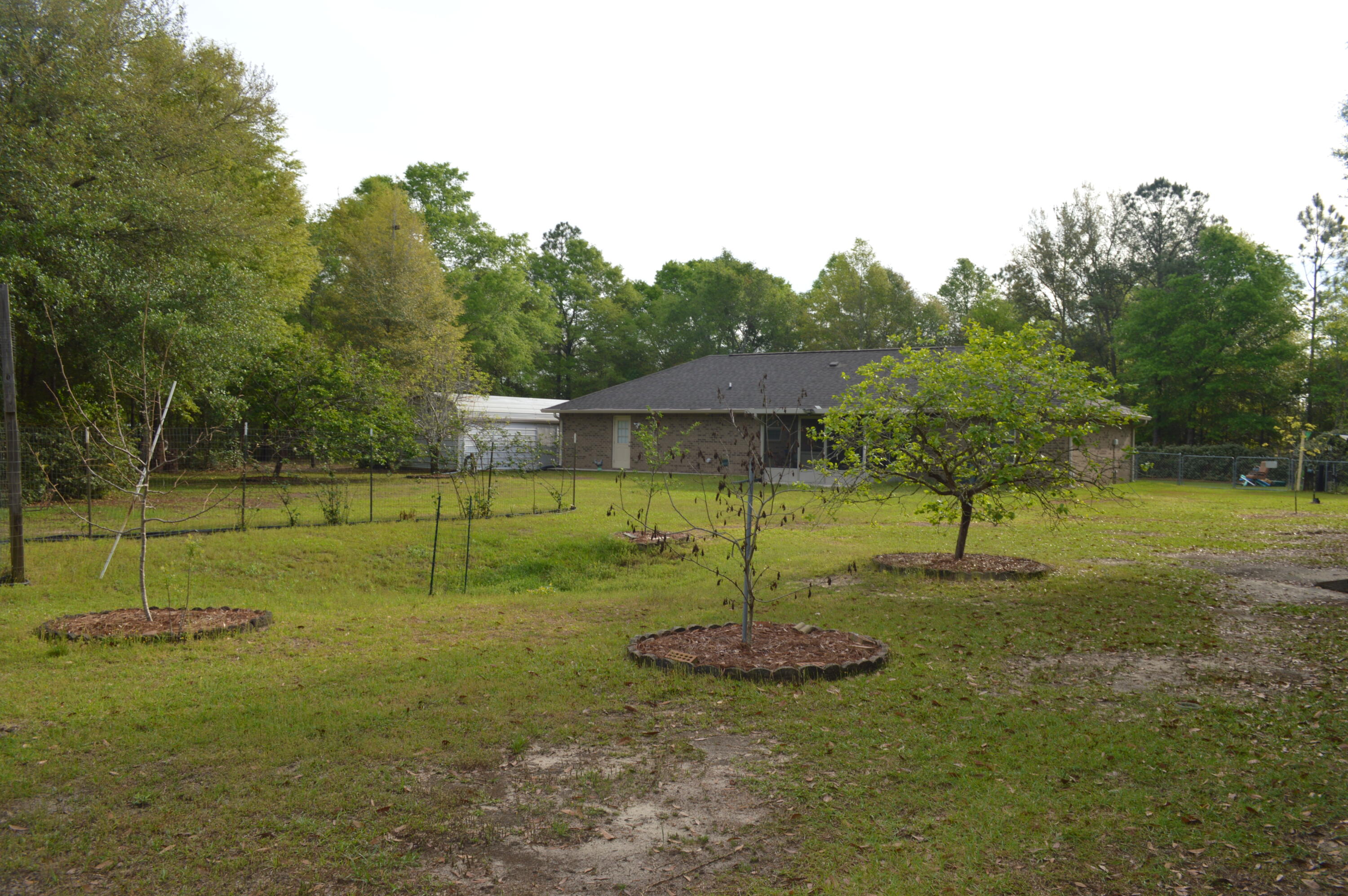 3939 Painter Branch Road Crestview, FL 32539 - Photo 28 of 35 a backyard of a house with lots of green space