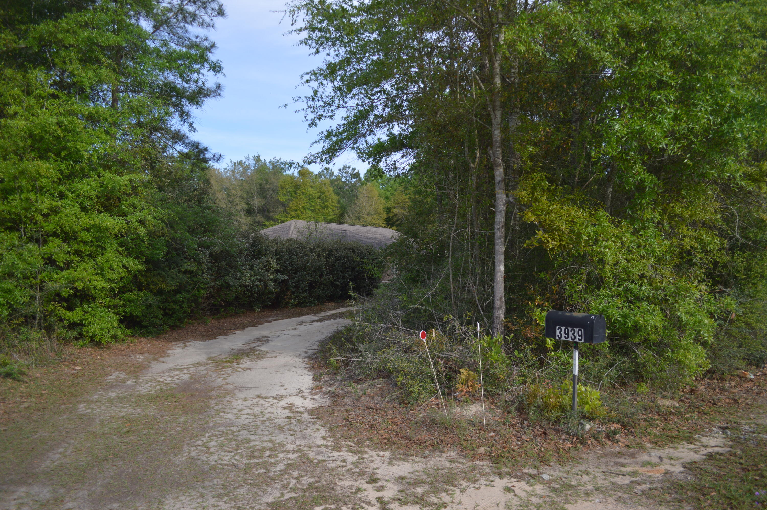 3939 Painter Branch Road Crestview, FL 32539 - Photo 29 of 35 a view of a park with large trees