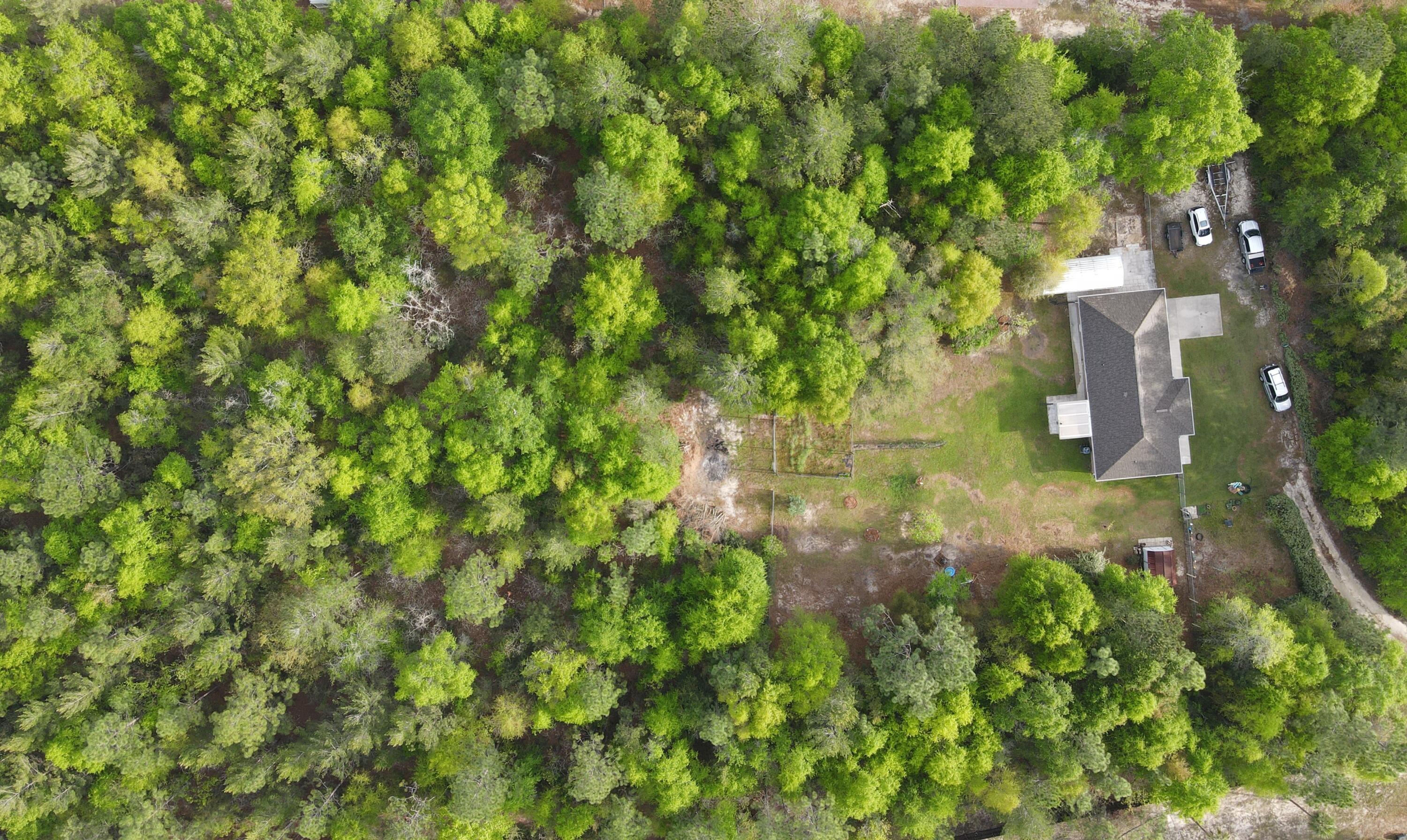 3939 Painter Branch Road Crestview, FL 32539 - Photo 35 of 35 a backyard of a house with lots of green space