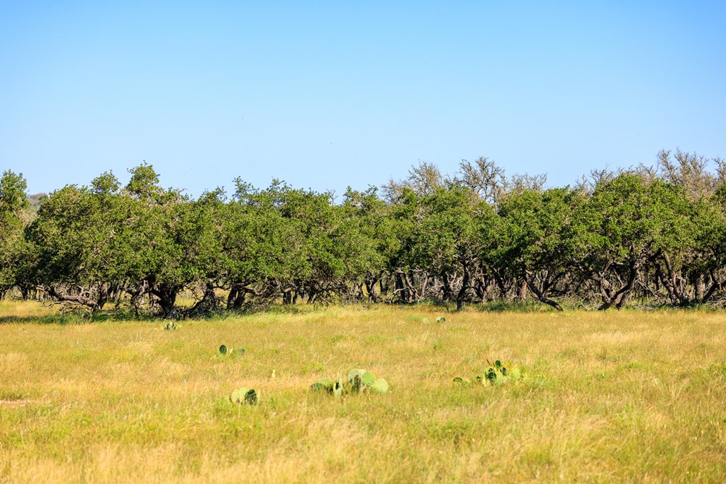783 North Ranch Road 783 Harper, TX 78631 - Photo 23 of 30 Gallery Image 23