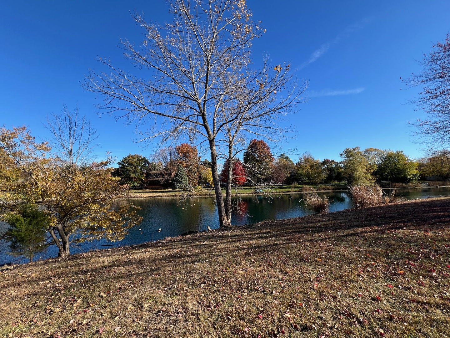 2006 South Staley Road Champaign, IL 61822 - Photo 3 of 19