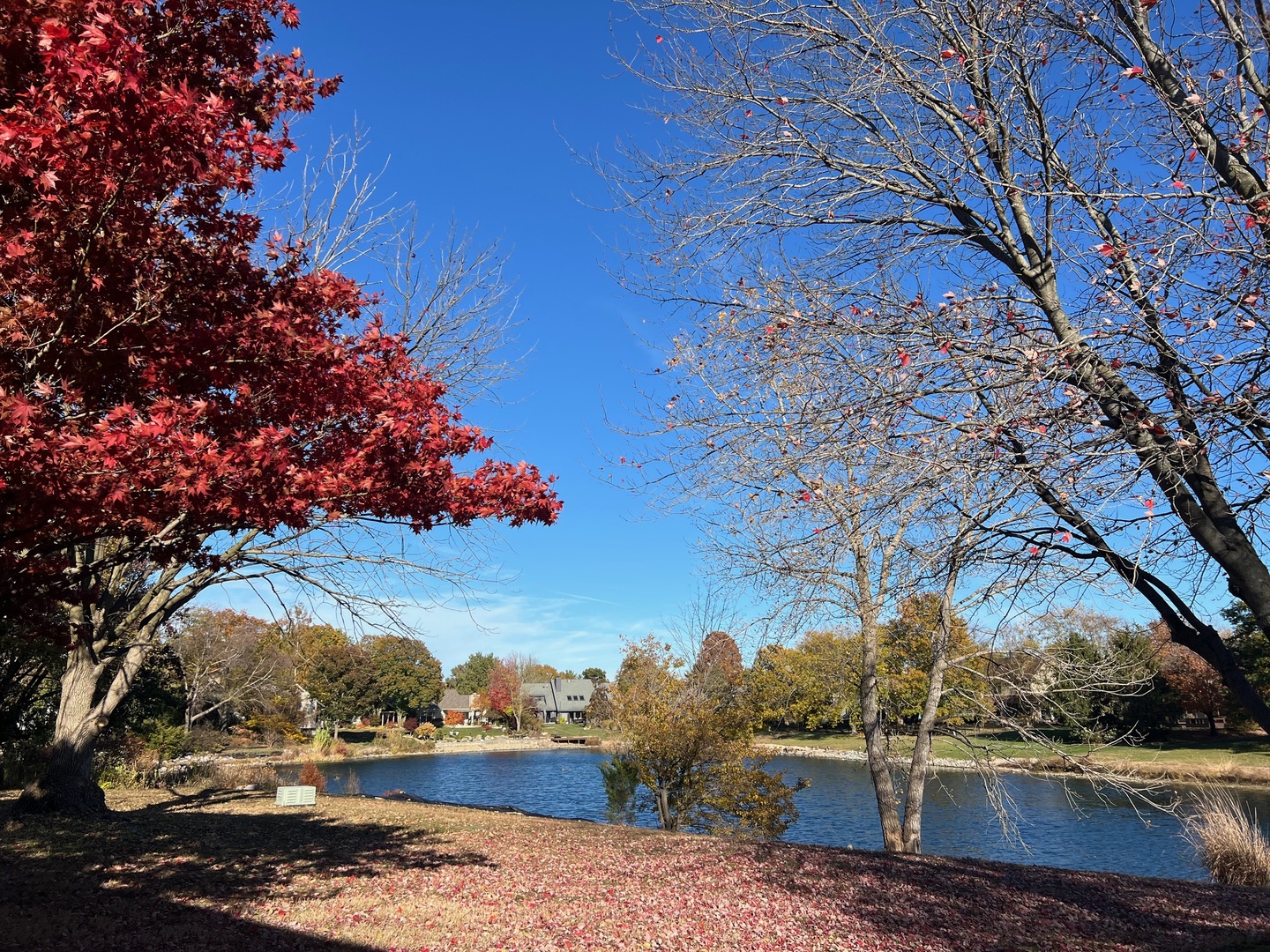 2006 South Staley Road Champaign, IL 61822 - Photo 8 of 19