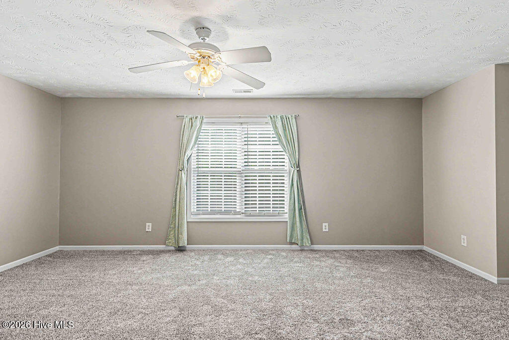 301 Old Dam Road Jacksonville, NC 28540 - Photo 46 of 54