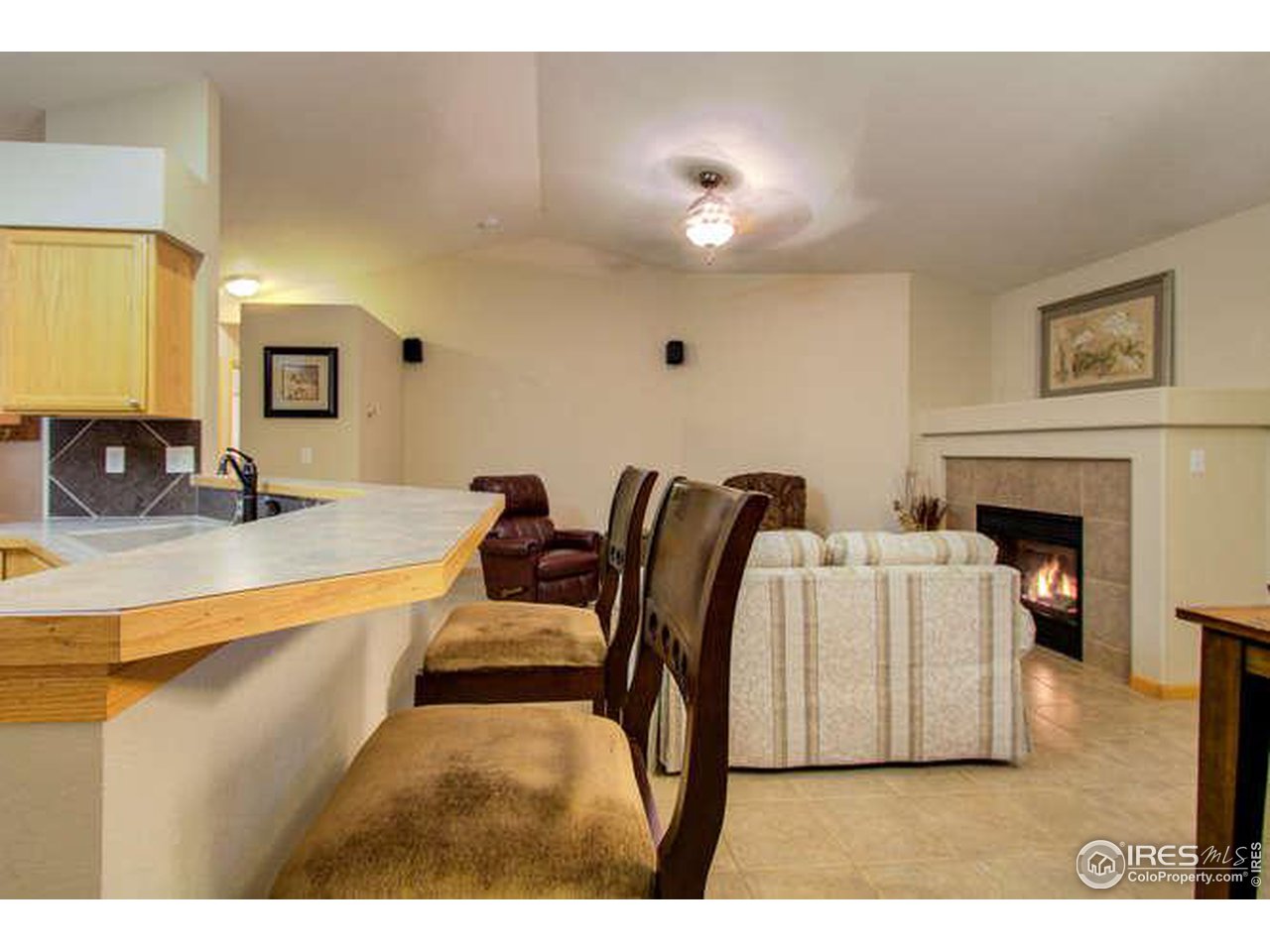 841 Durum Street Windsor, CO 80550 - Photo 20 of 24 a living room with furniture a fireplace and a flat screen tv