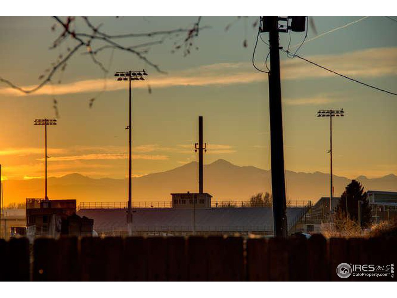 841 Durum Street Windsor, CO 80550 - Photo 2 of 24