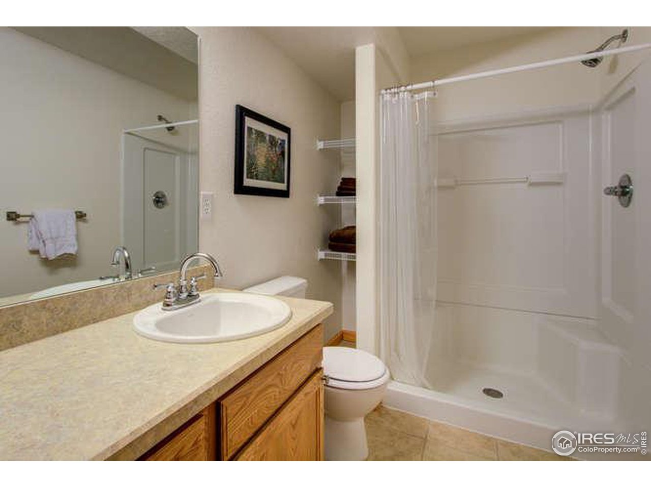 841 Durum Street Windsor, CO 80550 - Photo 22 of 24 a bathroom with a sink a toilet and shower