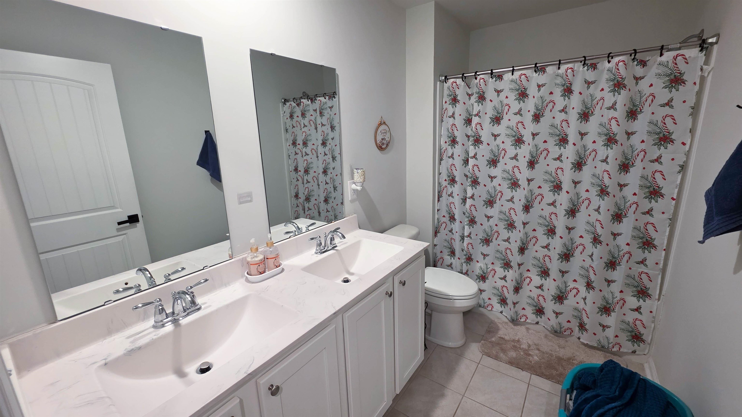 939 Snowberry Drive Longs, SC 29568 - Photo 20 of 25