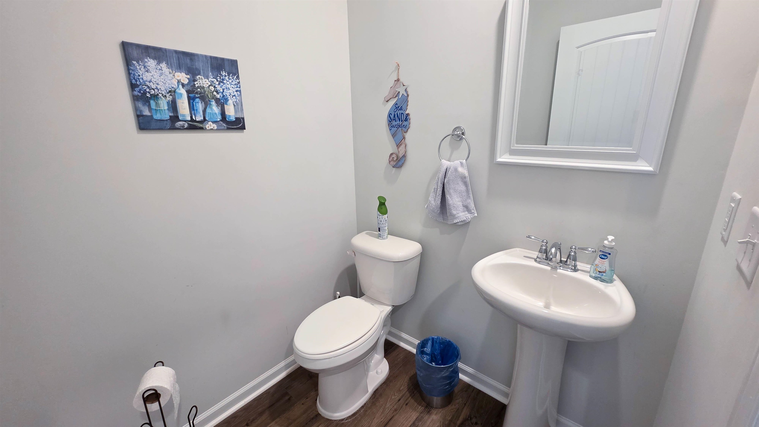 939 Snowberry Drive Longs, SC 29568 - Photo 6 of 25