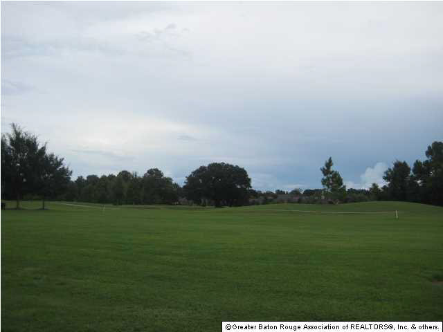 0 Tradition Avenue Baton Rouge, LA 70810 - Photo 4 of 5 Gallery Image 4