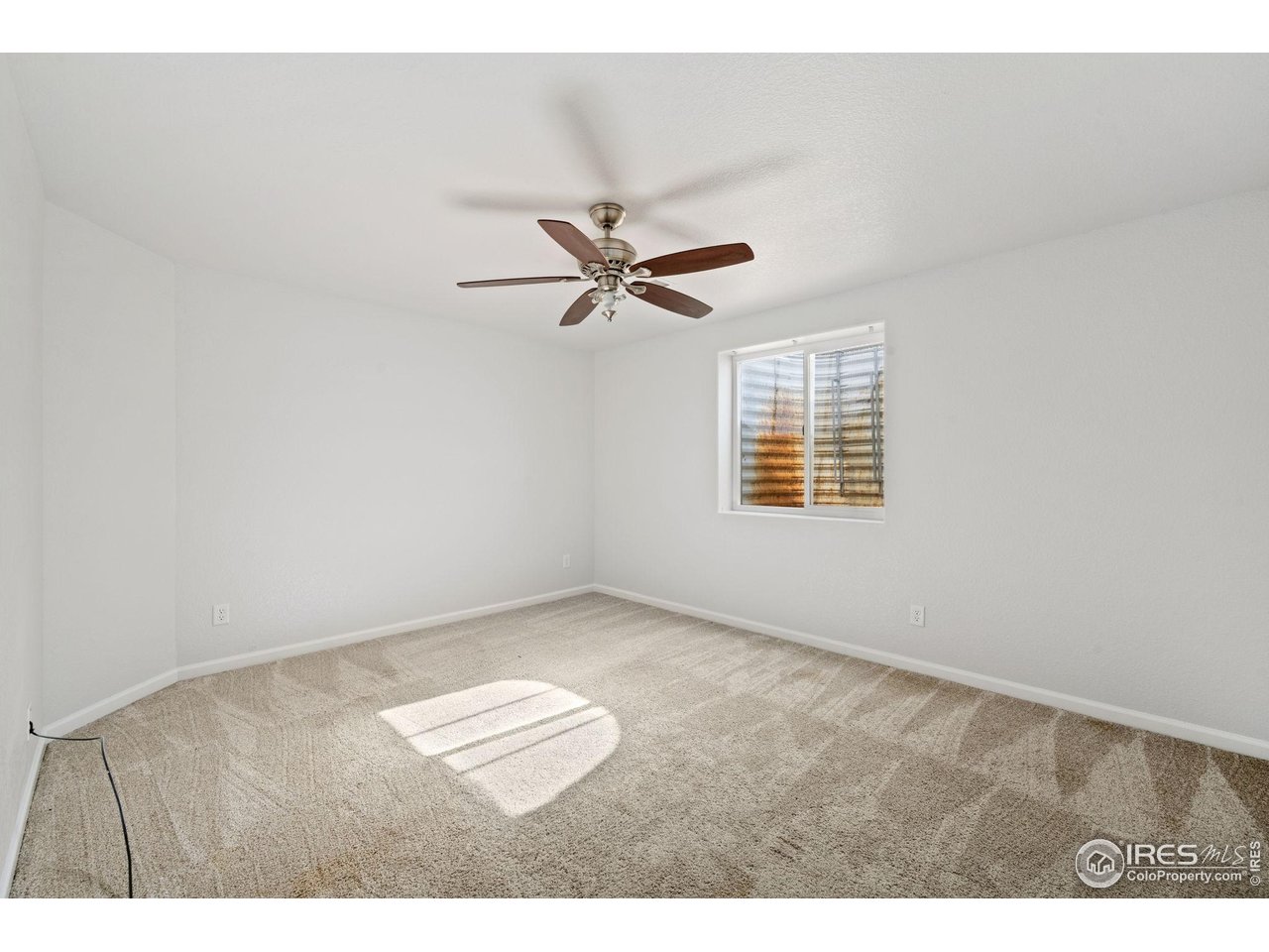 3399 Firewater Lane Wellington, CO 80549 - Photo 22 of 25