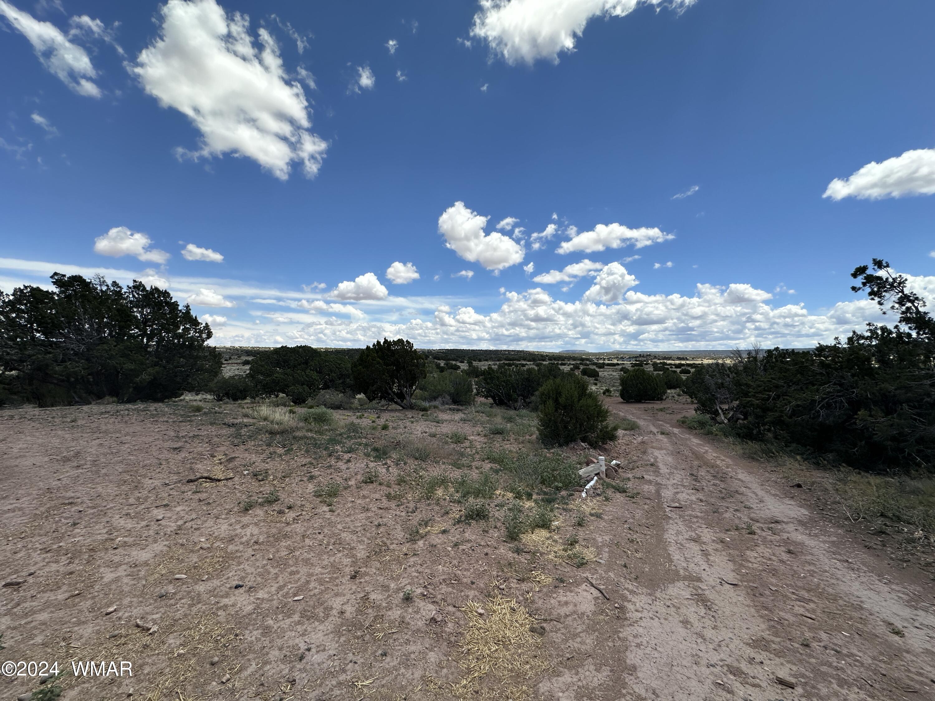 4684 Damron Valley Road Snowflake, AZ 85937 - Photo 5 of 16