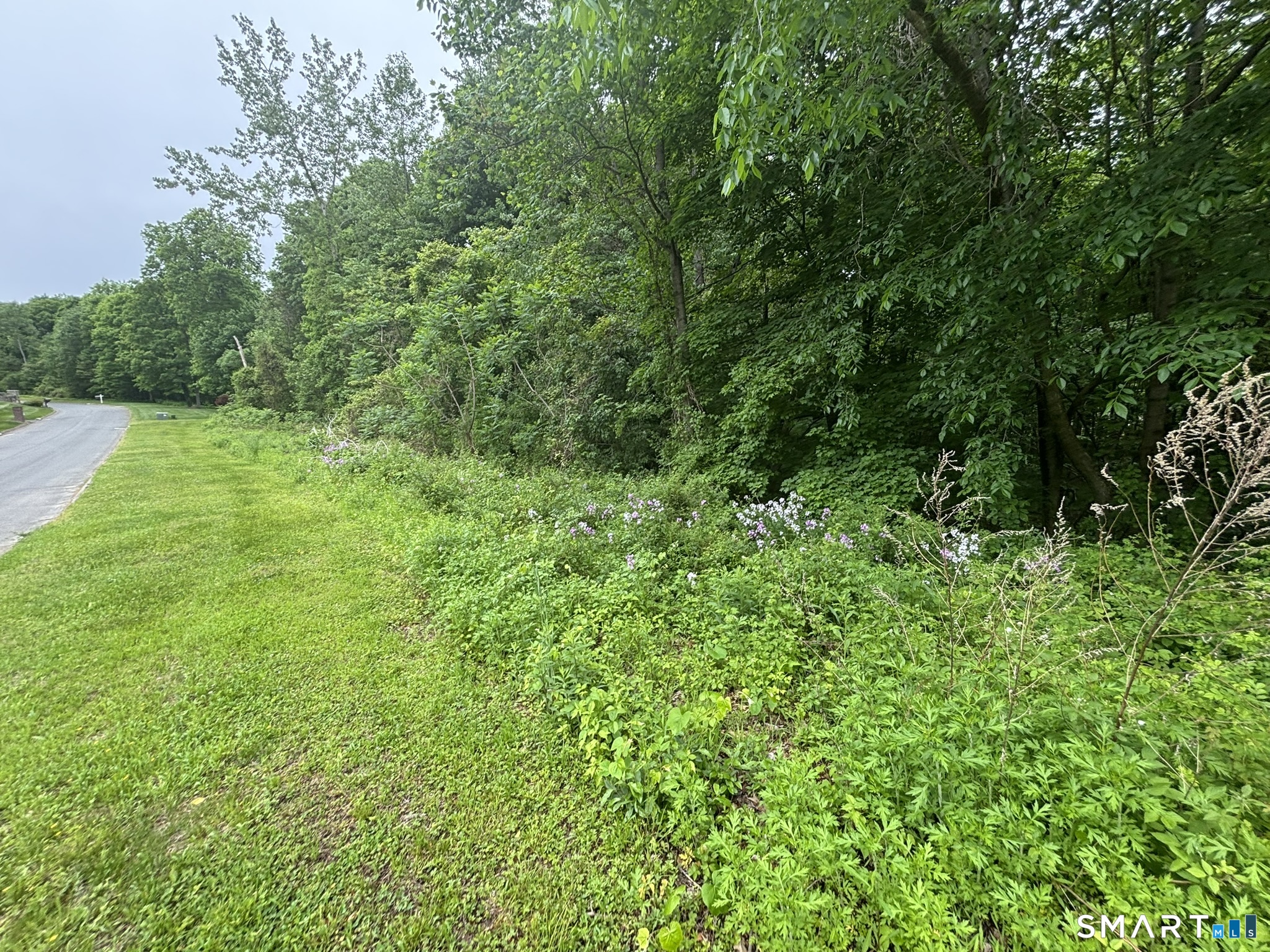 7 Holley Lane Prospect, CT 06712 - Photo 11 of 30 a view of a lush green space
