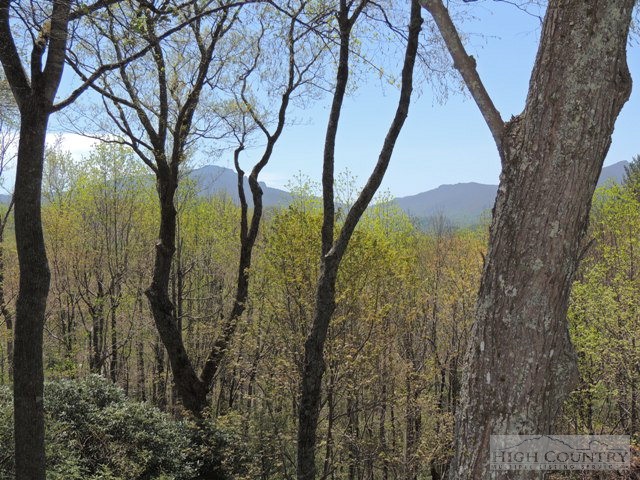 114 Poplar Boone, NC 28607 - Photo 15 of 27 Gallery Image 15