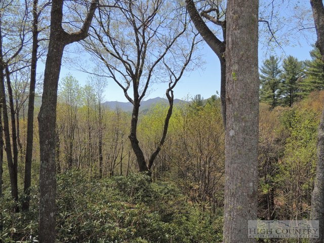 114 Poplar Boone, NC 28607 - Photo 16 of 27 Gallery Image 16