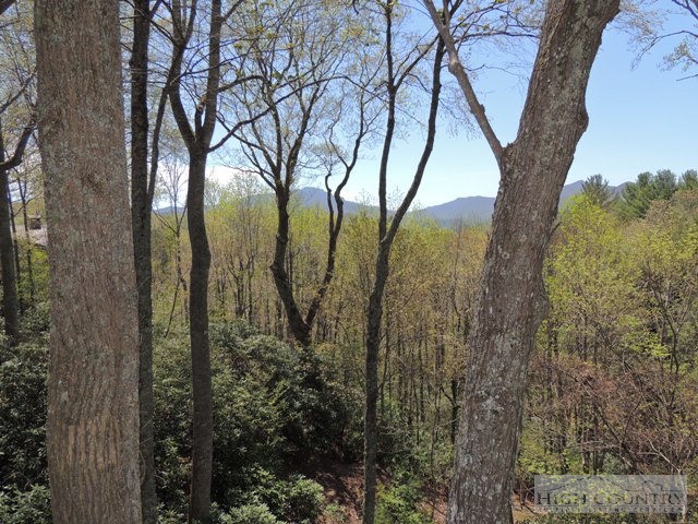 114 Poplar Boone, NC 28607 - Photo 17 of 27 Gallery Image 17