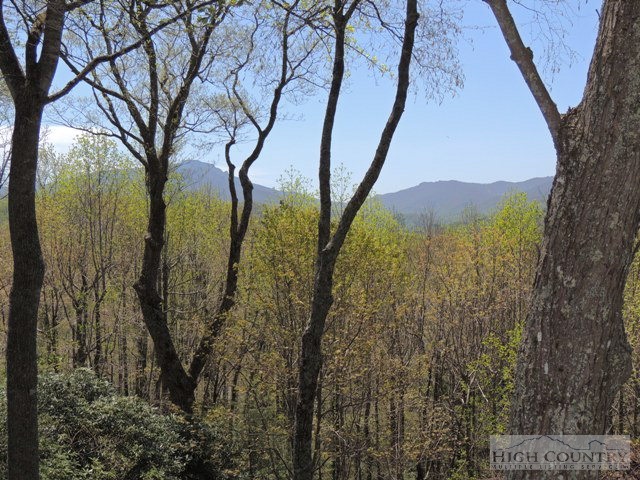 114 Poplar Boone, NC 28607 - Photo 18 of 27 Gallery Image 18