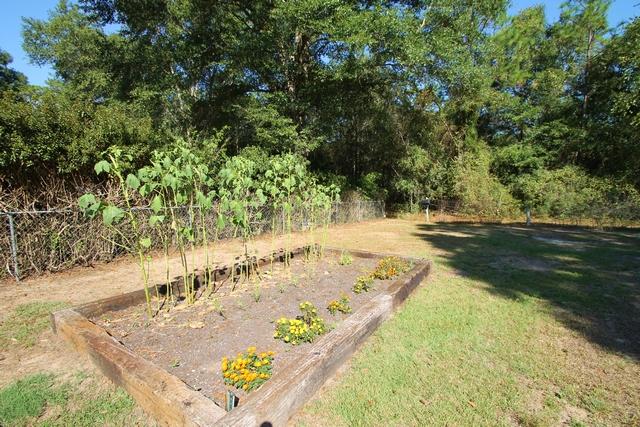 223 Ridge Lake Road Crestview, FL 32536 - Photo 24 of 40 a view of yard with swimming pool