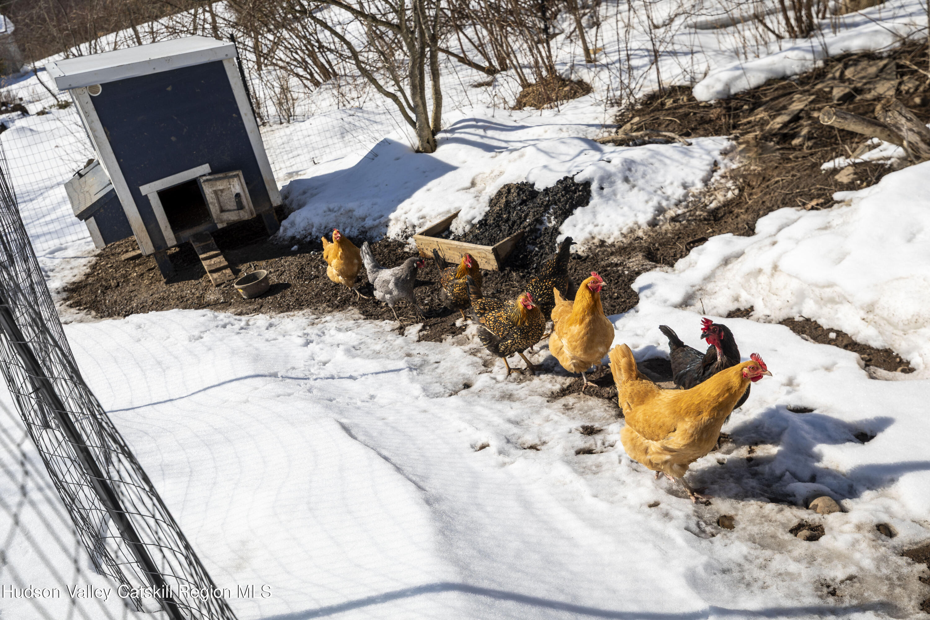 23 Traver Hollow Road Boiceville, NY 12412 - Photo 47 of 48 a view of outdoor space with seating
