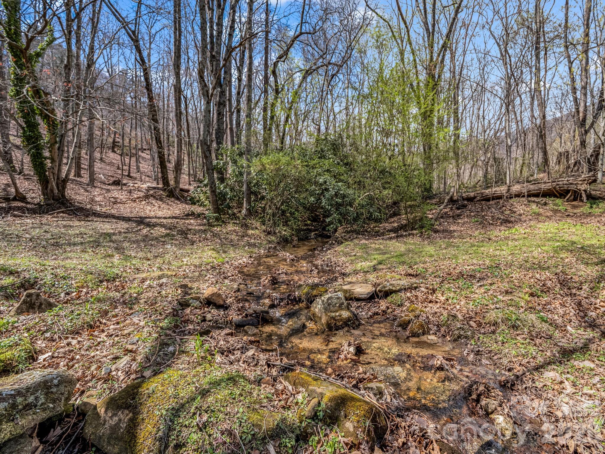 175 Pink Campbell Road Landrum, SC 29356 - Photo 13 of 48