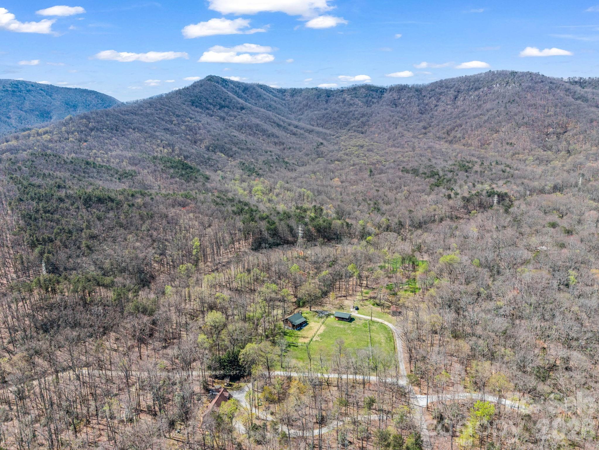 175 Pink Campbell Road Landrum, SC 29356 - Photo 45 of 48